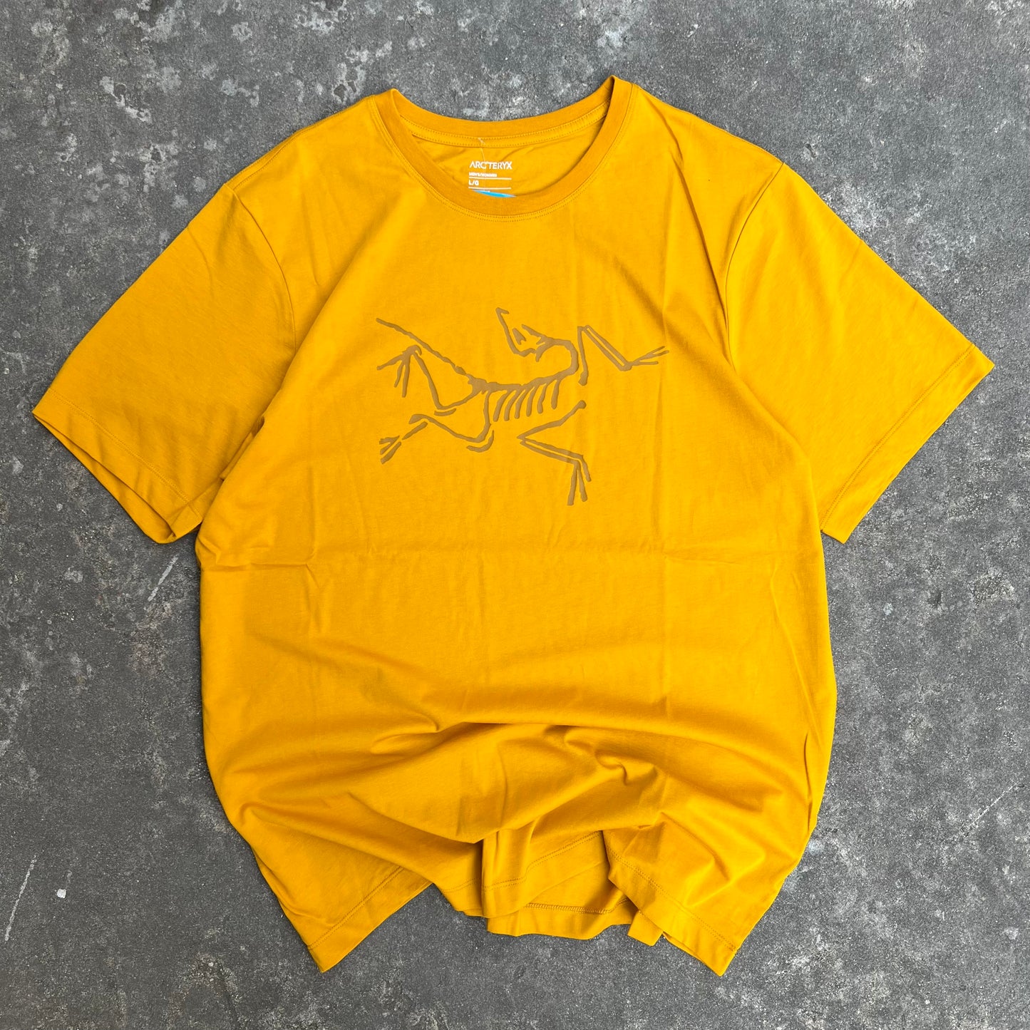 Brand New Arc'teryx Shirt